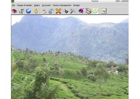 Tea Garden Software, Tea Garden Management system by  EBS Software Solution.