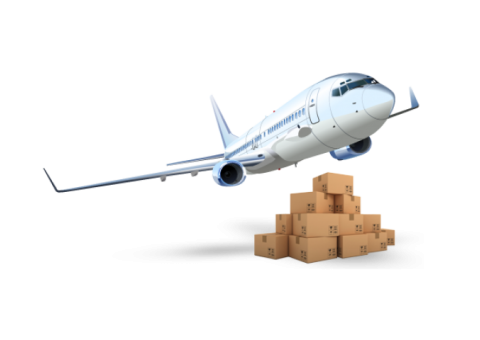 Best Domestic & International Cargo Services in Delhi/NCR