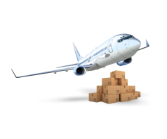 Best Domestic & International Cargo Services in Delhi/NCR