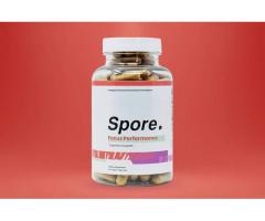 Spore Focus Performance :- Our persistent exploration work
