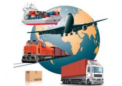 Domestic & International Cargo Services in Delhi/NCR