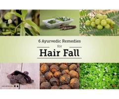 Ayurvedic Approach For The Treatment Of Hair Fall
