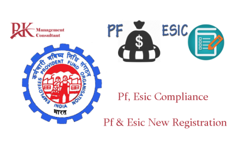 Get an EPF consultant in Gurgaon today for all your queries