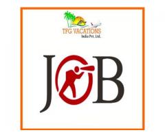 Part/Full Time Jobs For Freshers-Housewife