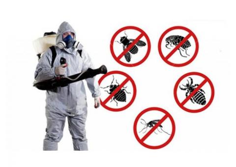 Home pest control