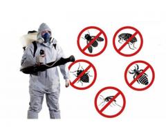 Home pest control