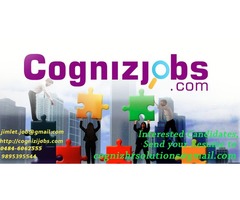 Urgently needed Candidates for Joining Immediatly