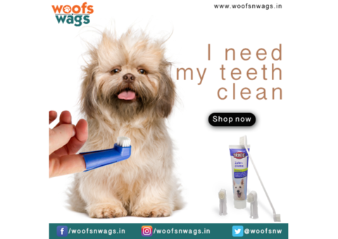 Quality Pet Products in Delhi