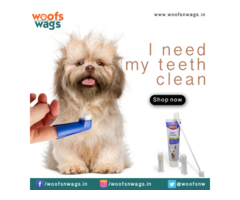 Quality Pet Products in Delhi