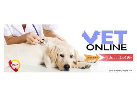 Ask A Vet Online @ Just Rs. 49/- Click To Book Now