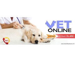 Ask A Vet Online @ Just Rs. 49/- Click To Book Now