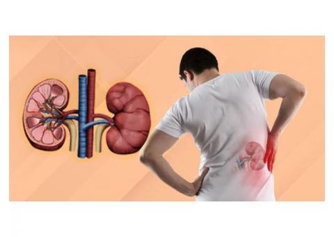 L'Amar World - Common Risk factors or symptoms for Kidney Stones?