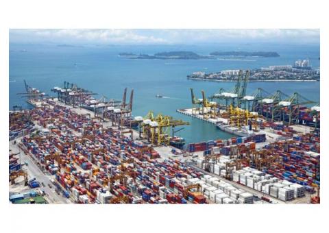 Tradewind Finance - Alternative Financing: Enabling Businesses To Scale Exports