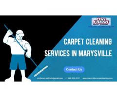 Revitalize Your Home with Professional Carpet Cleaning in Marysville