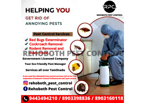 Pest Control Services