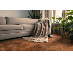 Why Lushlyf Sofa Throws Are a Must-Have for Your Home Decor!!