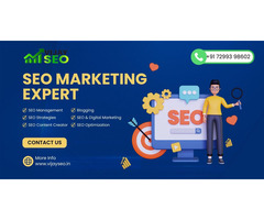 SEO Expert Chennai | Vijay SEO