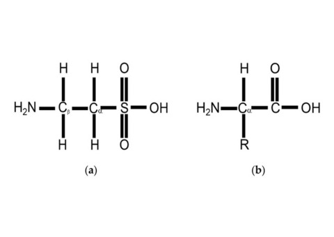 The Role of Taurine in Health and Nutrition: Insights from Leading Distributors