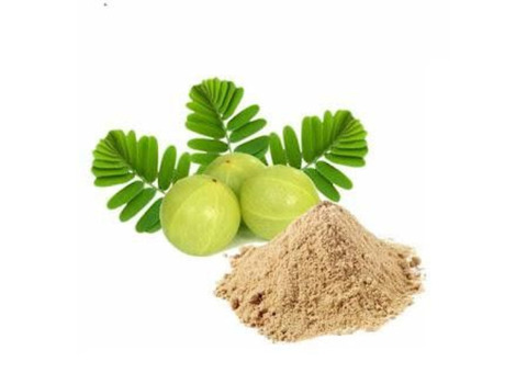 Boost Your Health Naturally: Organic & Conventional Uses Of Amla Extract!!