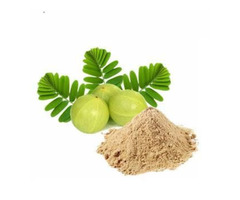 Boost Your Health Naturally: Organic & Conventional Uses Of Amla Extract!!