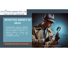 Trusted Private Detective Agency in Delhi - City Intelligence