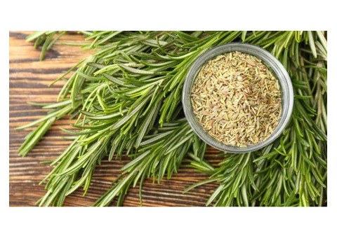 Discover the Power of Rosemary: Your Ultimate Anti-Dandruff Solution!!