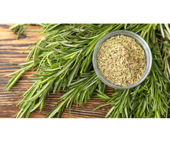 Discover the Power of Rosemary: Your Ultimate Anti-Dandruff Solution!!