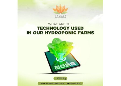 Hydroponics vs. Traditional Farming: Which Fits Pune's Future?