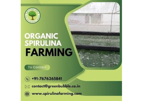 Organic Spirulina Farming | Efficient Spirulina Algae Cultivation