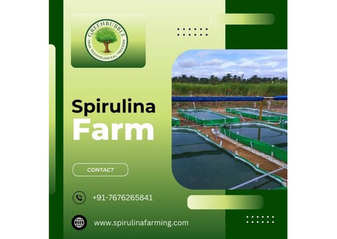 Spirulina Farming Solution | Spirulina Algae Farming