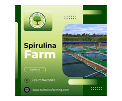 Spirulina Farming Solution | Spirulina Algae Farming