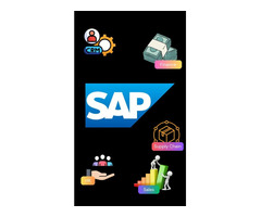 Finest SAP Training in Bangalore - Digital ERPS