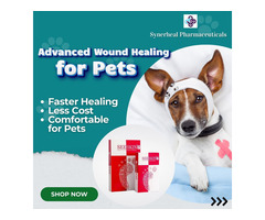 Advanced Wound Healing For Pets | Synerheal pharma