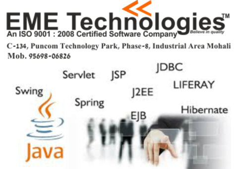 learn java programming