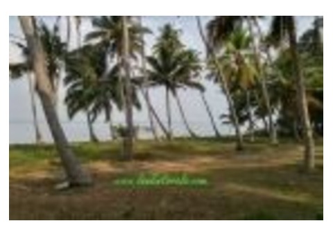 Ashtamudi lake frontage 30 cents land for sale in Prakkulam, Kollam