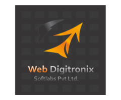 WebDigitronix.com: SEO Services in Lucknow