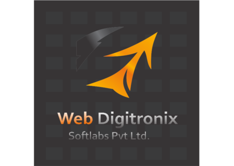 WebDigitronix.com: IT Company in Lucknow