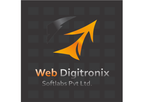 WebDigitronix.com: Website Development Company in Lucknow