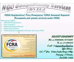 NGO CONSULTANCY SERVICES FCRA, 80G