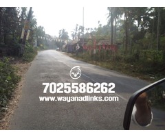 15 cent house plot for sale at Nadavayal