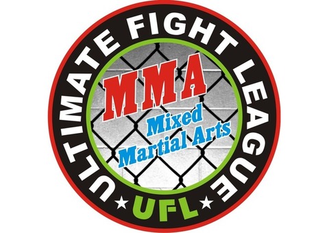 Martial art ufight league association in delhi