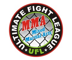 Martial art ufight league association in delhi