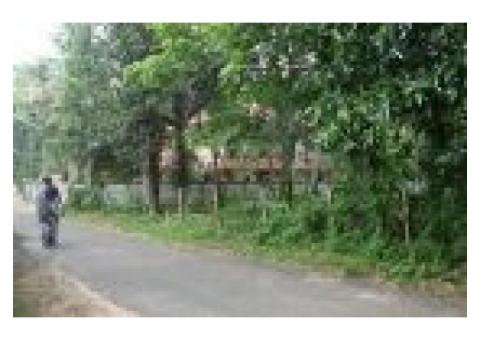 42 Cents of Residential land for sale at Cherukole,Mavelikara, Alappuzha