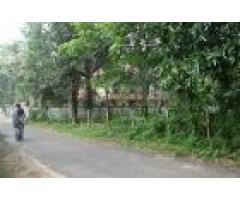 42 Cents of Residential land for sale at Cherukole,Mavelikara, Alappuzha