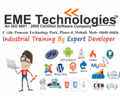 6 month industrial training in mohali