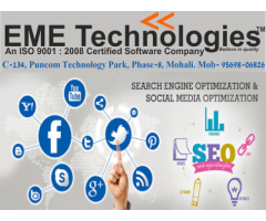 seo summer training in mohali