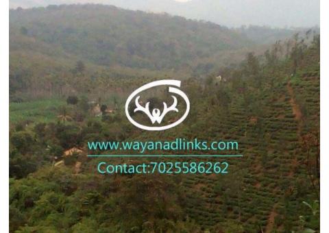 Stream frontage land for sale near Mananthavady