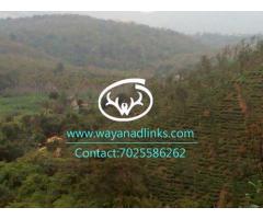 Stream frontage land for sale near Mananthavady