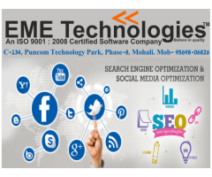 SEO Training In Mohali