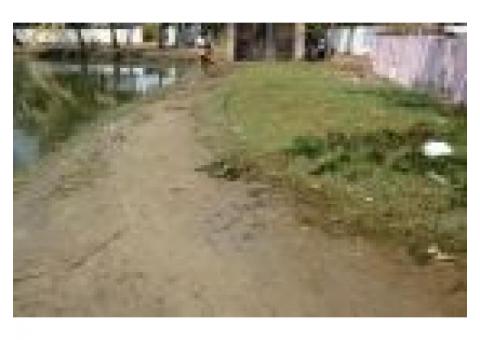 2 acres of paddy land for sale in Kudungassery,Nayarambalam,Ernakulam